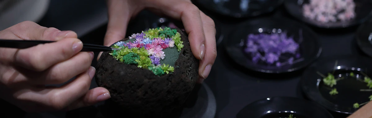 植物体験の体験一覧のアイキャッチ画像