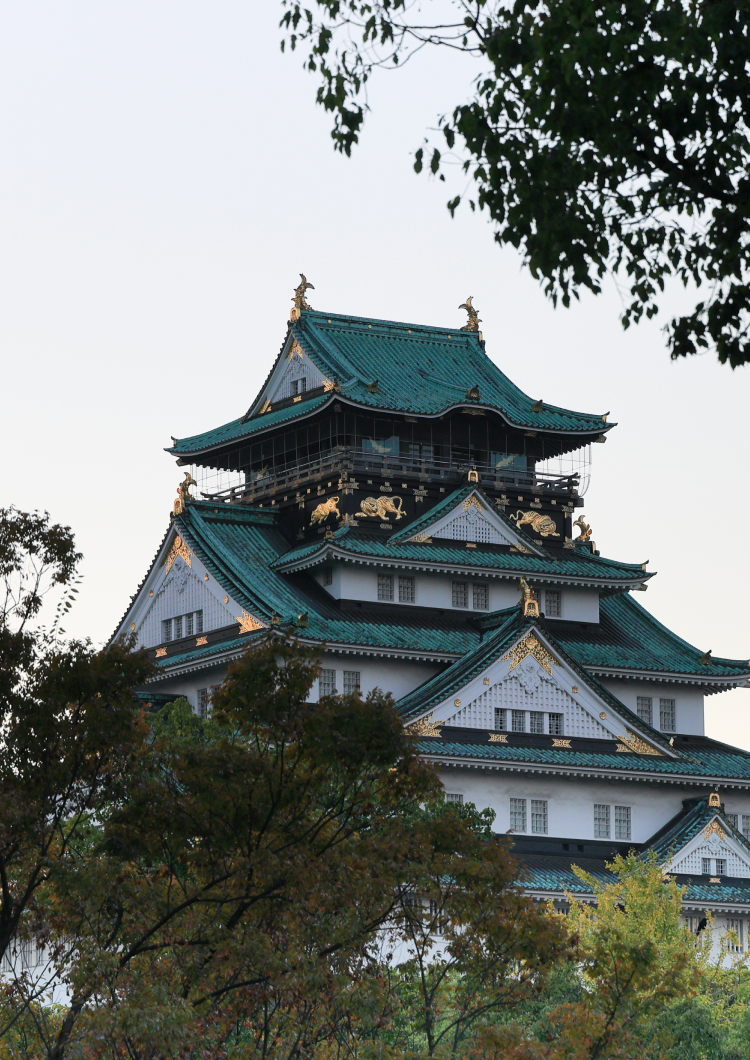 [Multi-Day Journey] Spirit of the Samurai Experience in Kyoto, Osaka, Hakone, Tokyo and Nikko