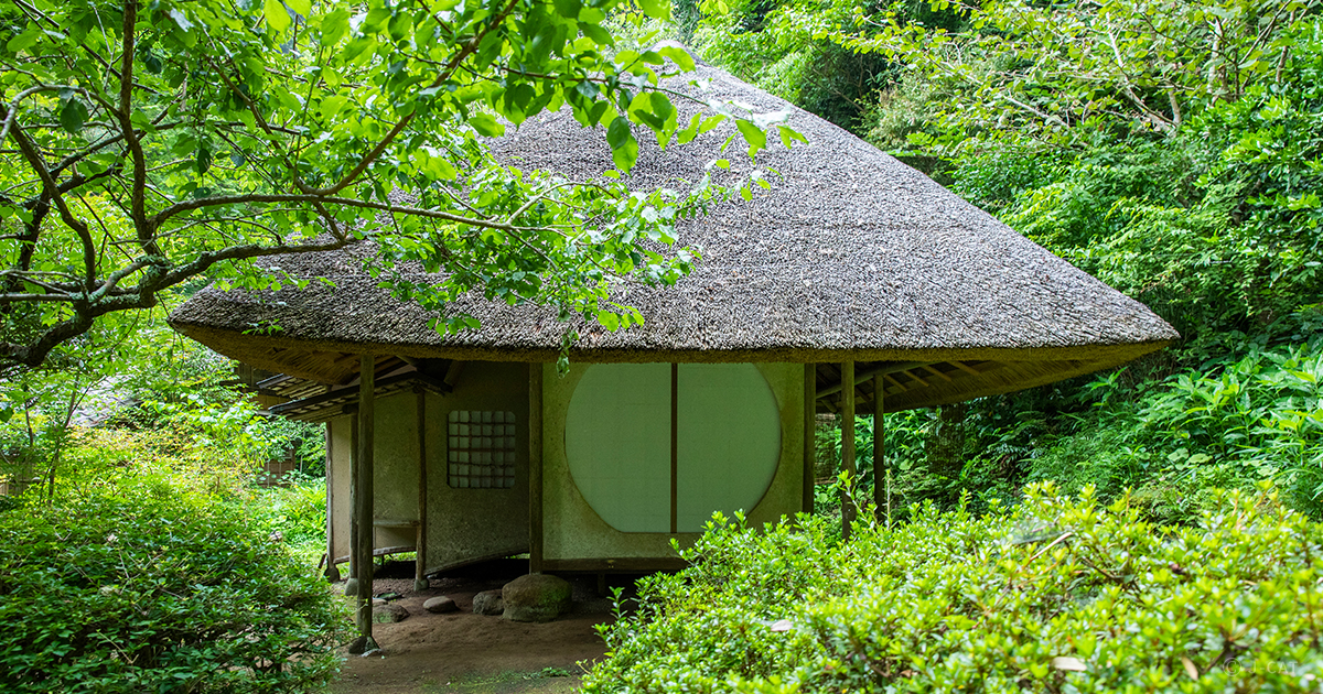 わび茶の心 _ 侘茶とは – わび茶千利休と茶道美意識の歴史文化 – GQJN