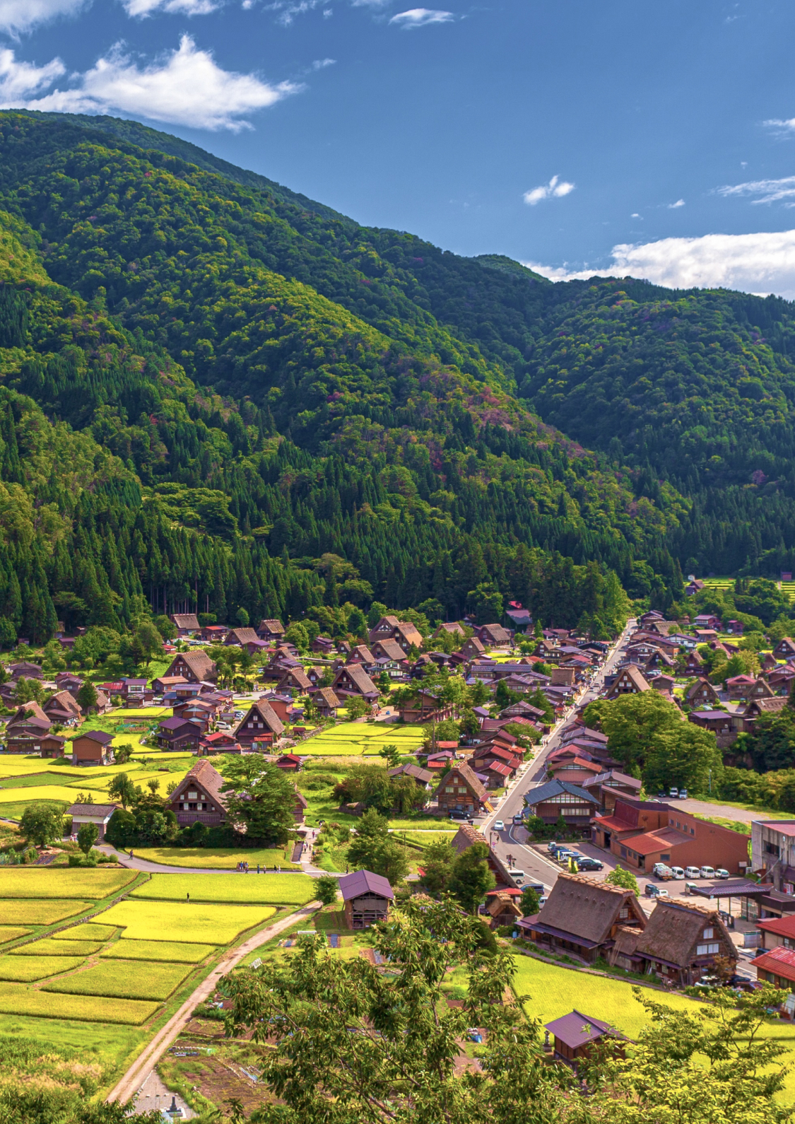 [Multi-Day Journey] Hidden Treasures, Exclusive Access: Tokyo, Kanazawa, Hida-Takayama & Kyoto for the Culturally Curious