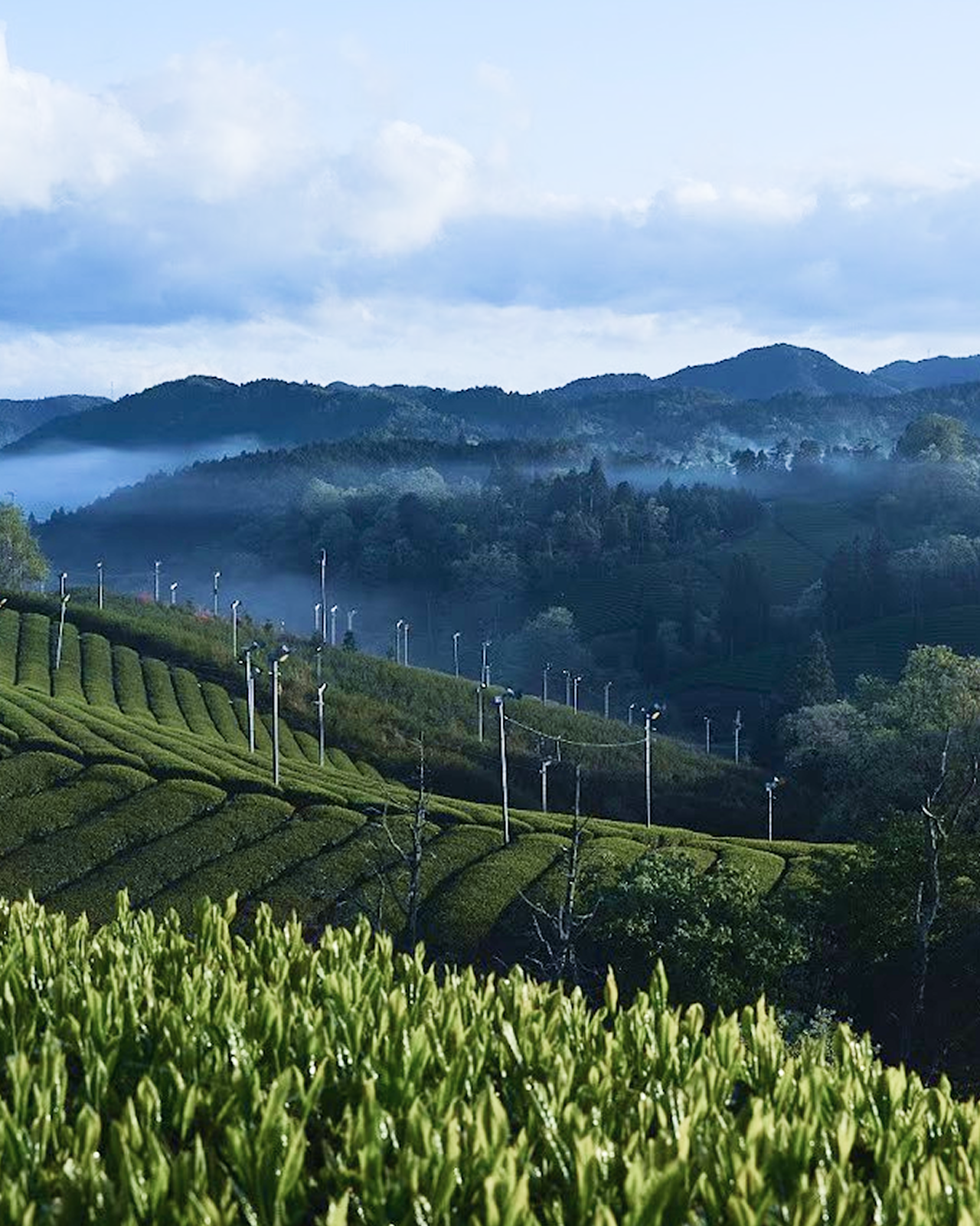 Quiet Escapes in Rural Japan