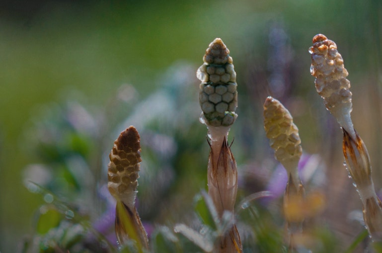新着体験のお知らせ −2026年4月−