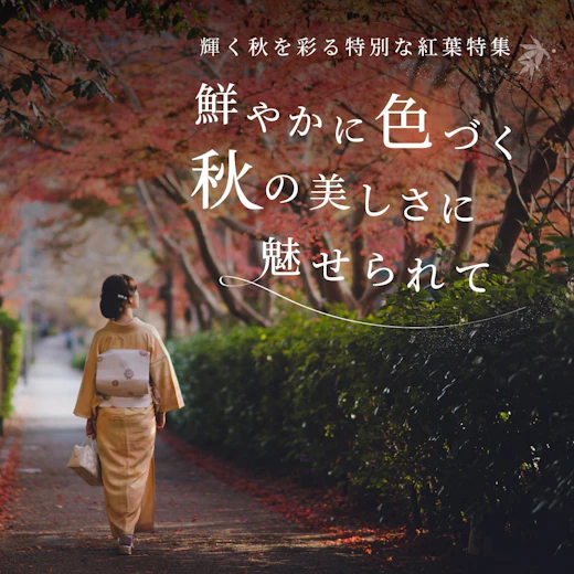 鮮やかに色づく秋の美しさに魅せられての画像