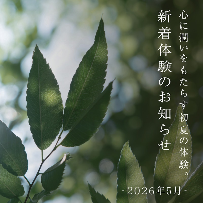 体験の画像