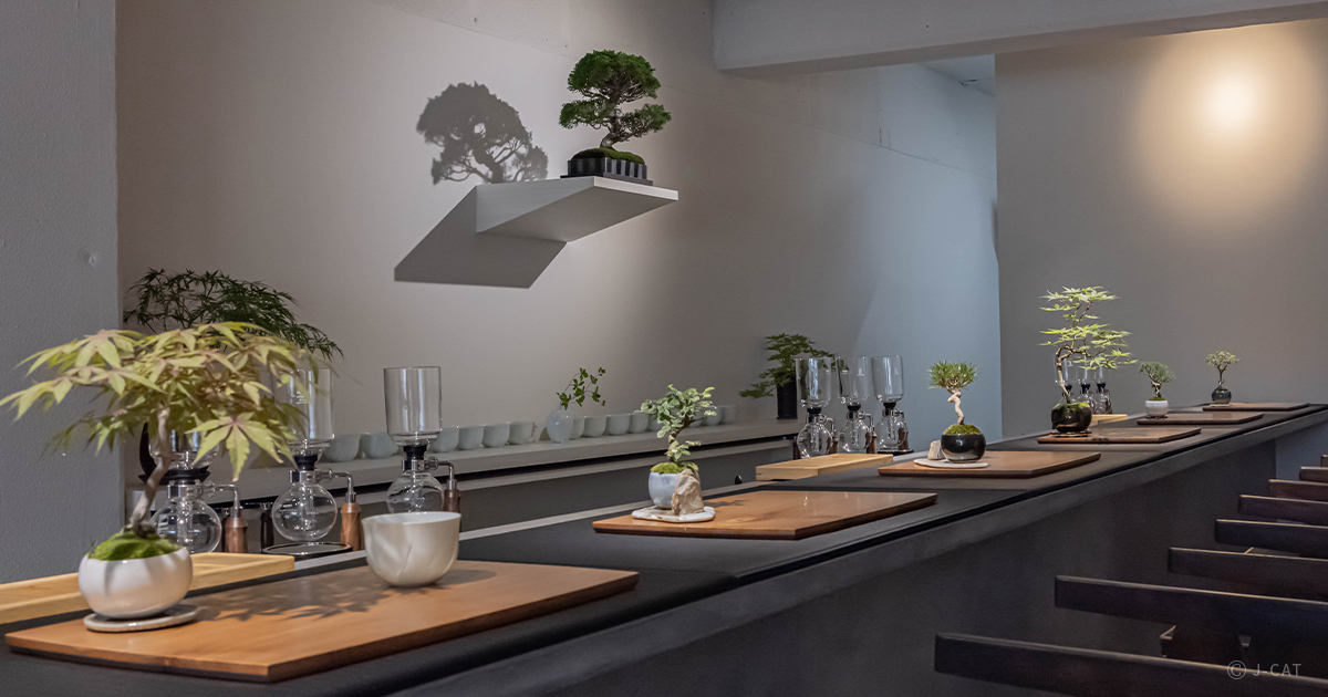 名古屋のサイフォン専門店で楽しむ日本茶と盆栽のある景色 名古屋にて