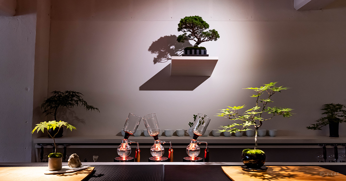 名古屋「彩盆の間」サイフォン専門店でコーヒーの香りと盆栽のある景色