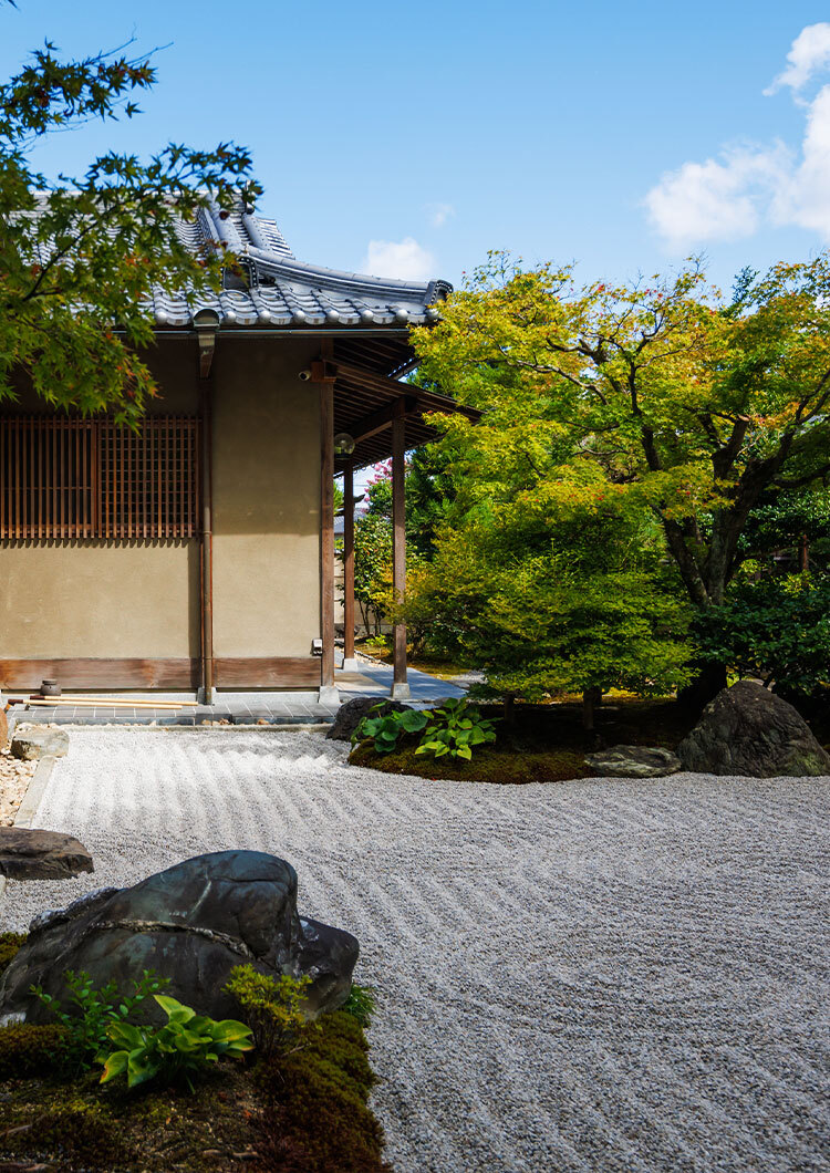 Xotin paypoq va etik kiygan Porno filmda Nadejda Sysoeva