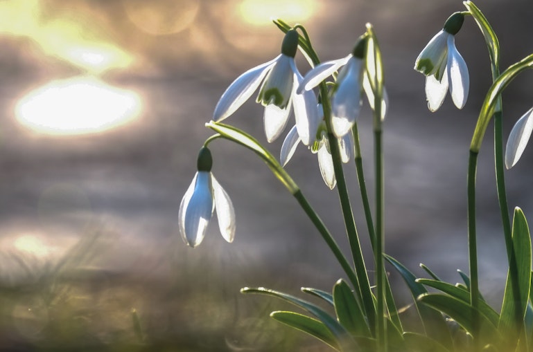 新着体験のお知らせ −2026年2月−