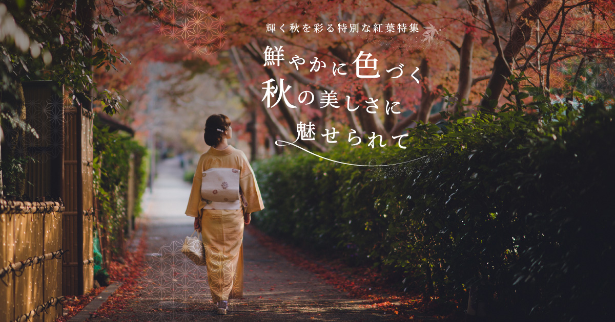 紅葉特集｜Otonami(おとなみ)