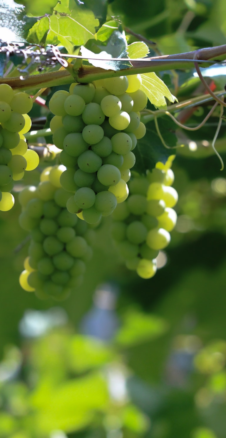 新着体験のお知らせ −9月−