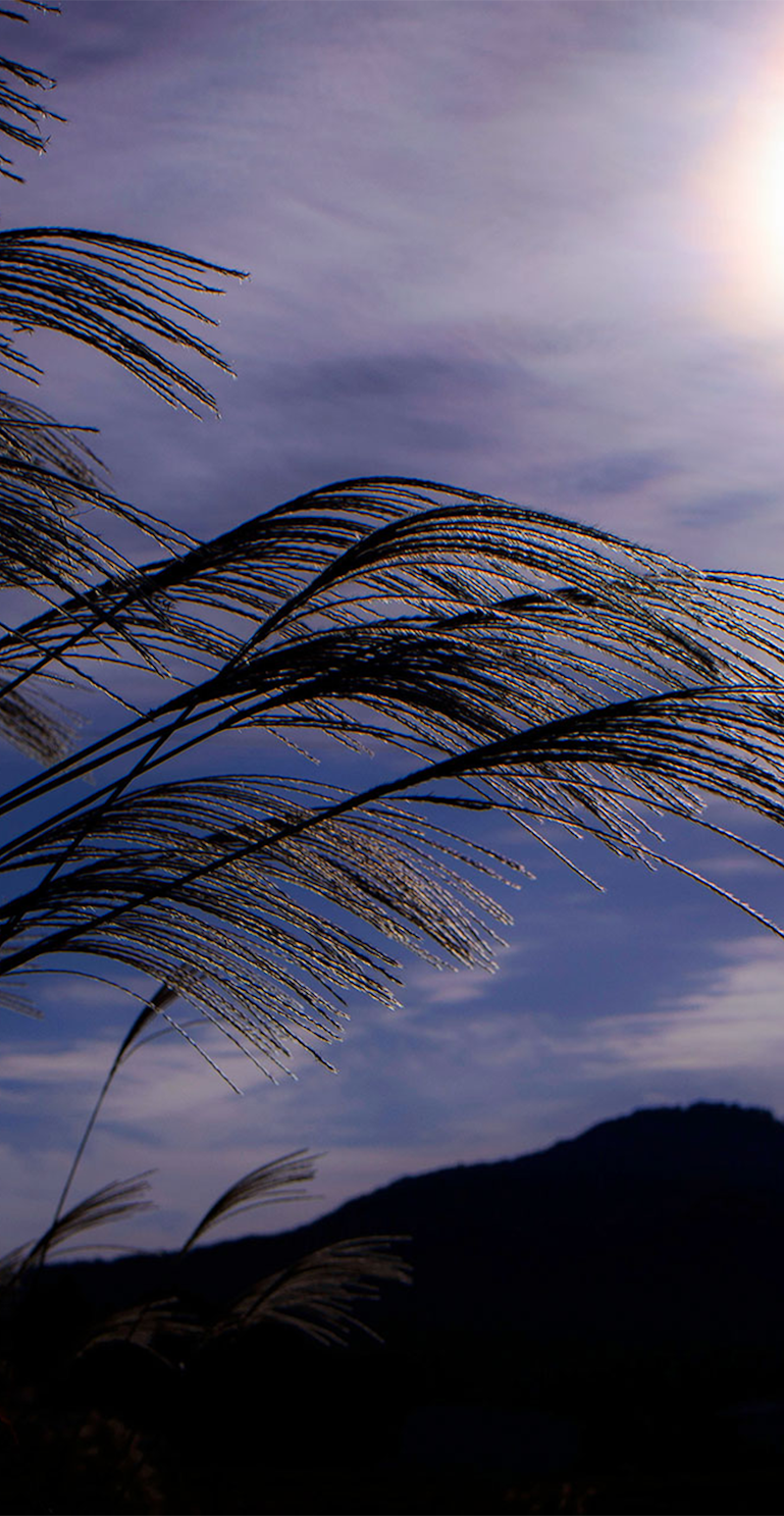 秋の夕闇と心に残る美しいひととき