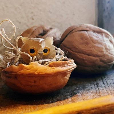 こもざわくるみ