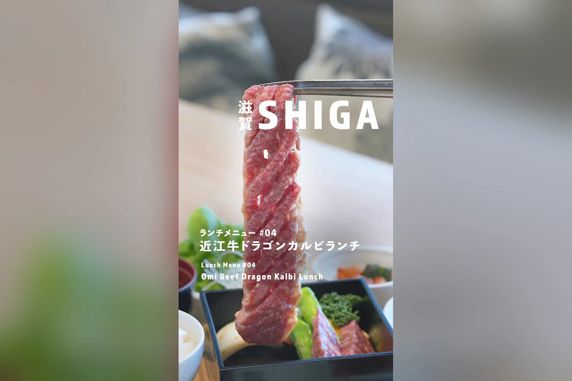 SHIGA 29CAFE