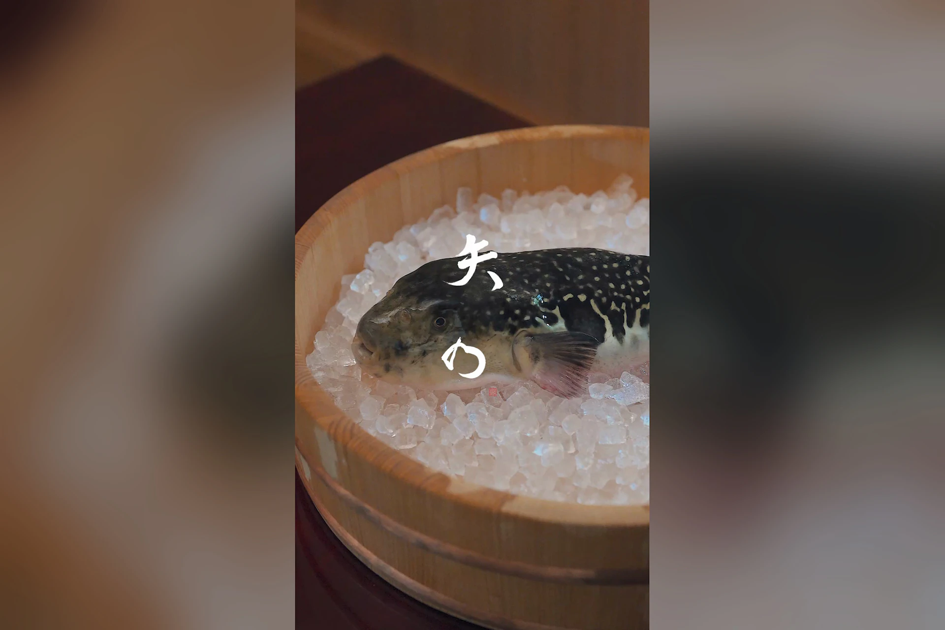 日本料理 矢の