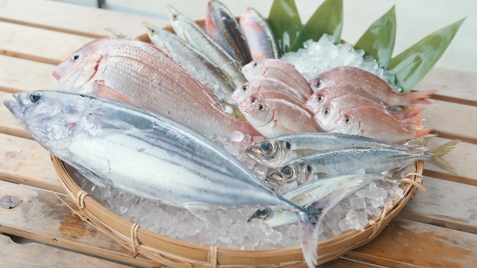 鈴木水産
