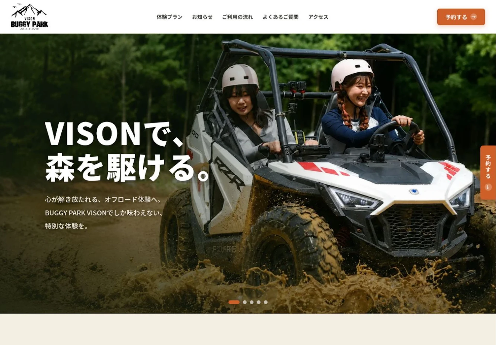 BUGGY PARK VISON
