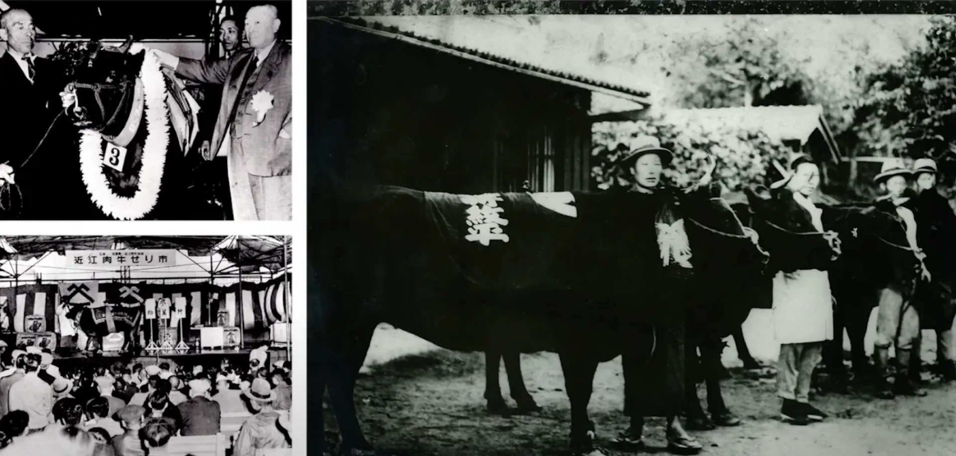大吉商店株式会社