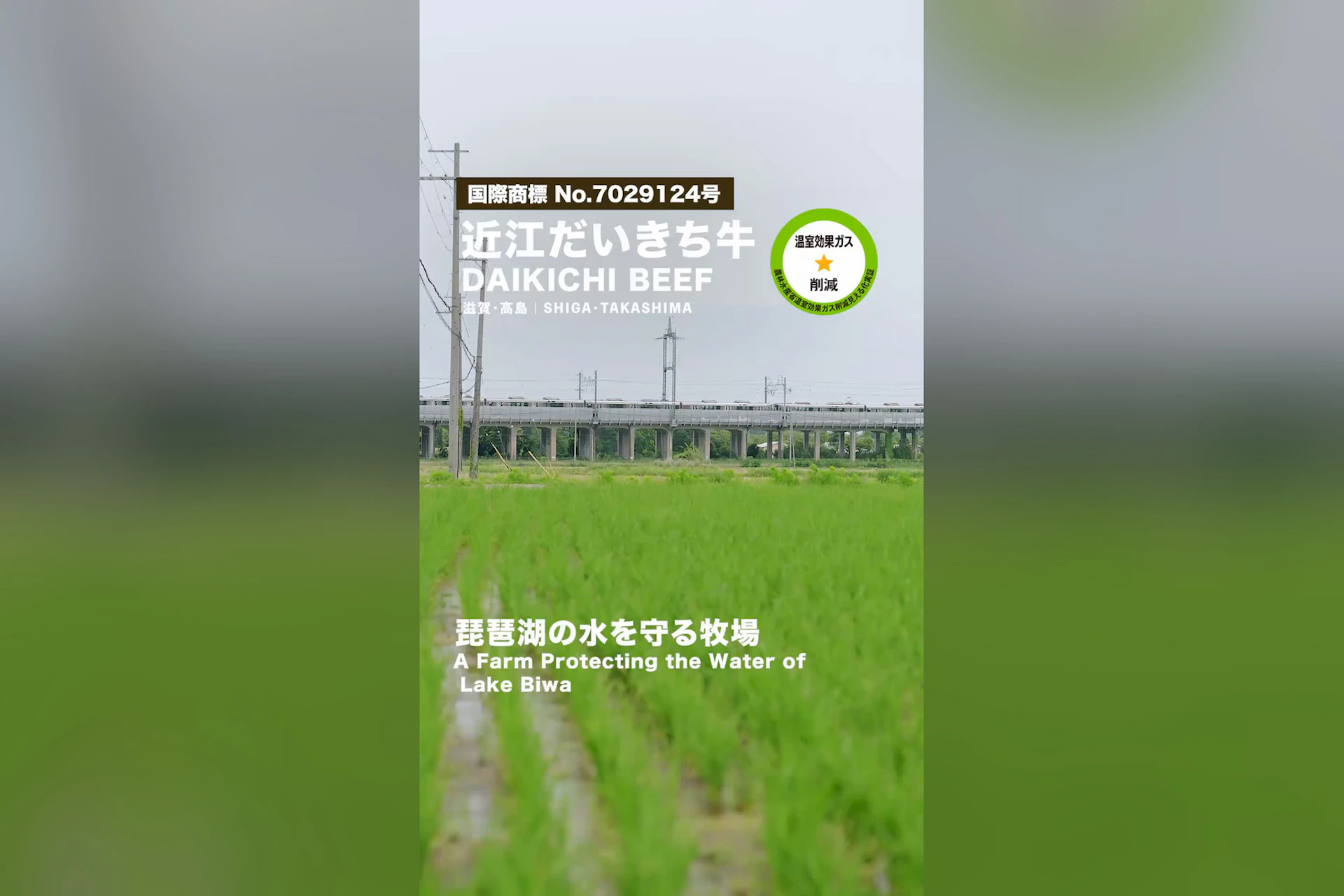 大吉商店株式会社