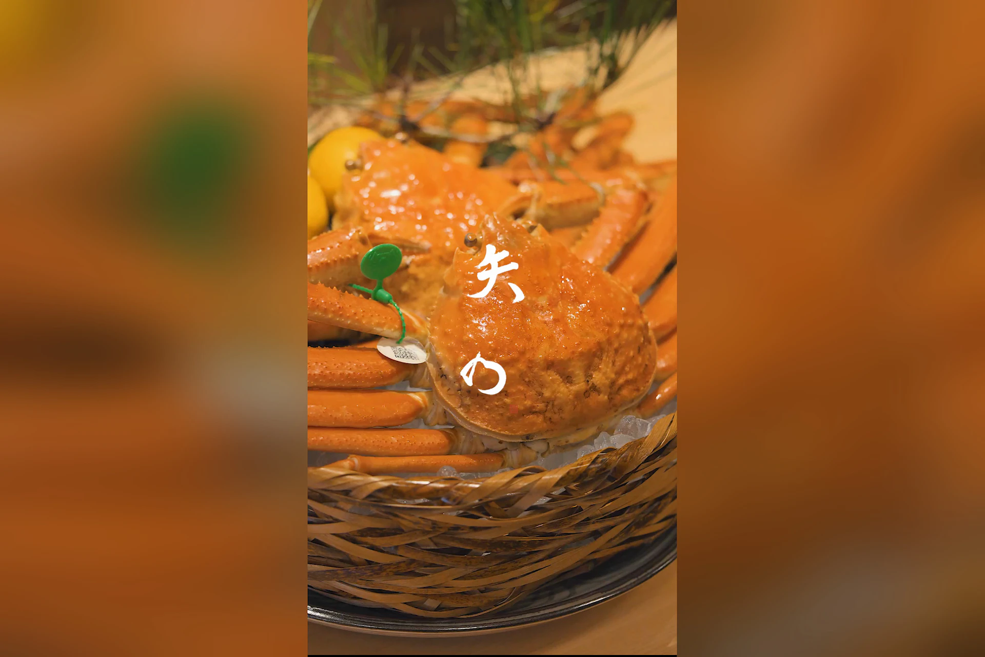 日本料理 矢の