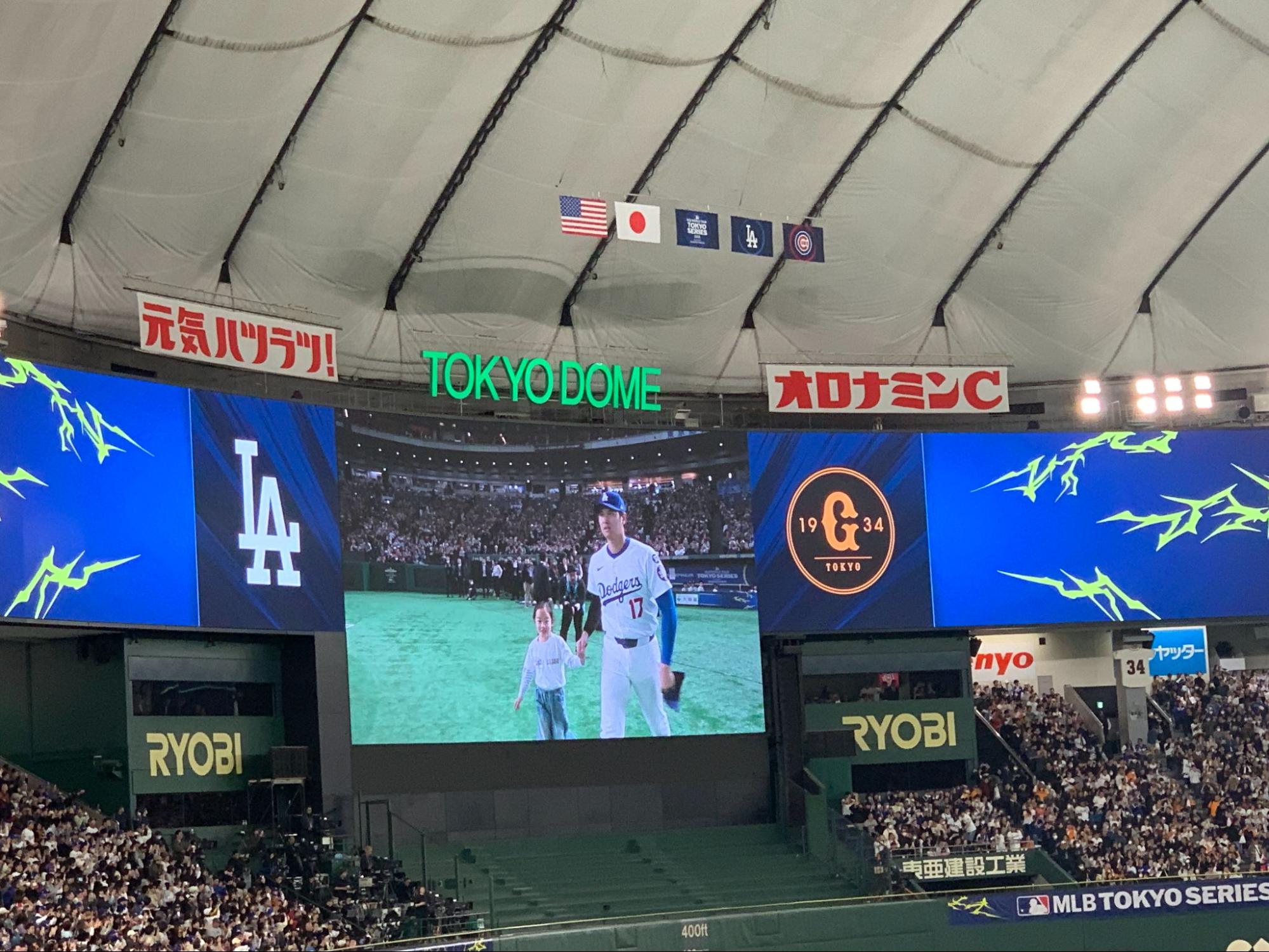 大谷選手のホームランを生観戦！オフライン全社定例レポート！
