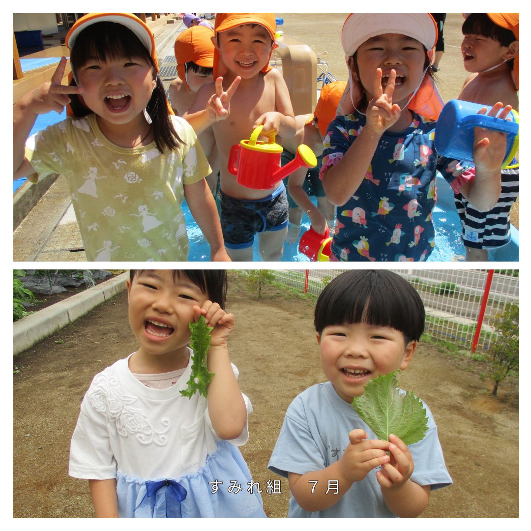 すみれ組
