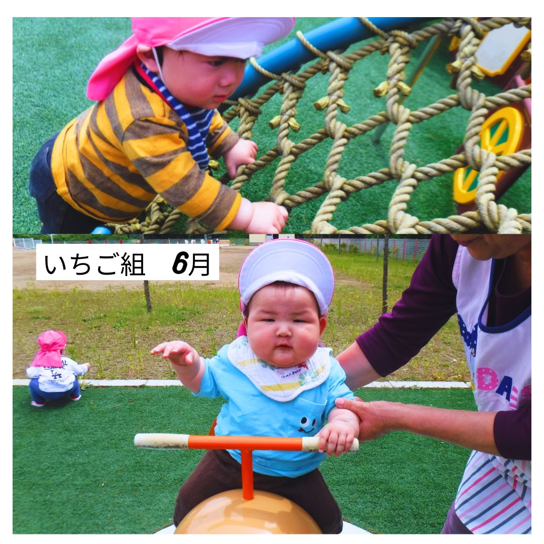 いちご組