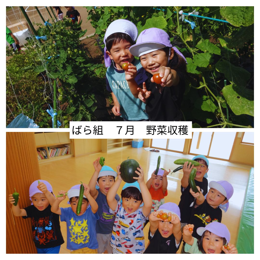 ばら組