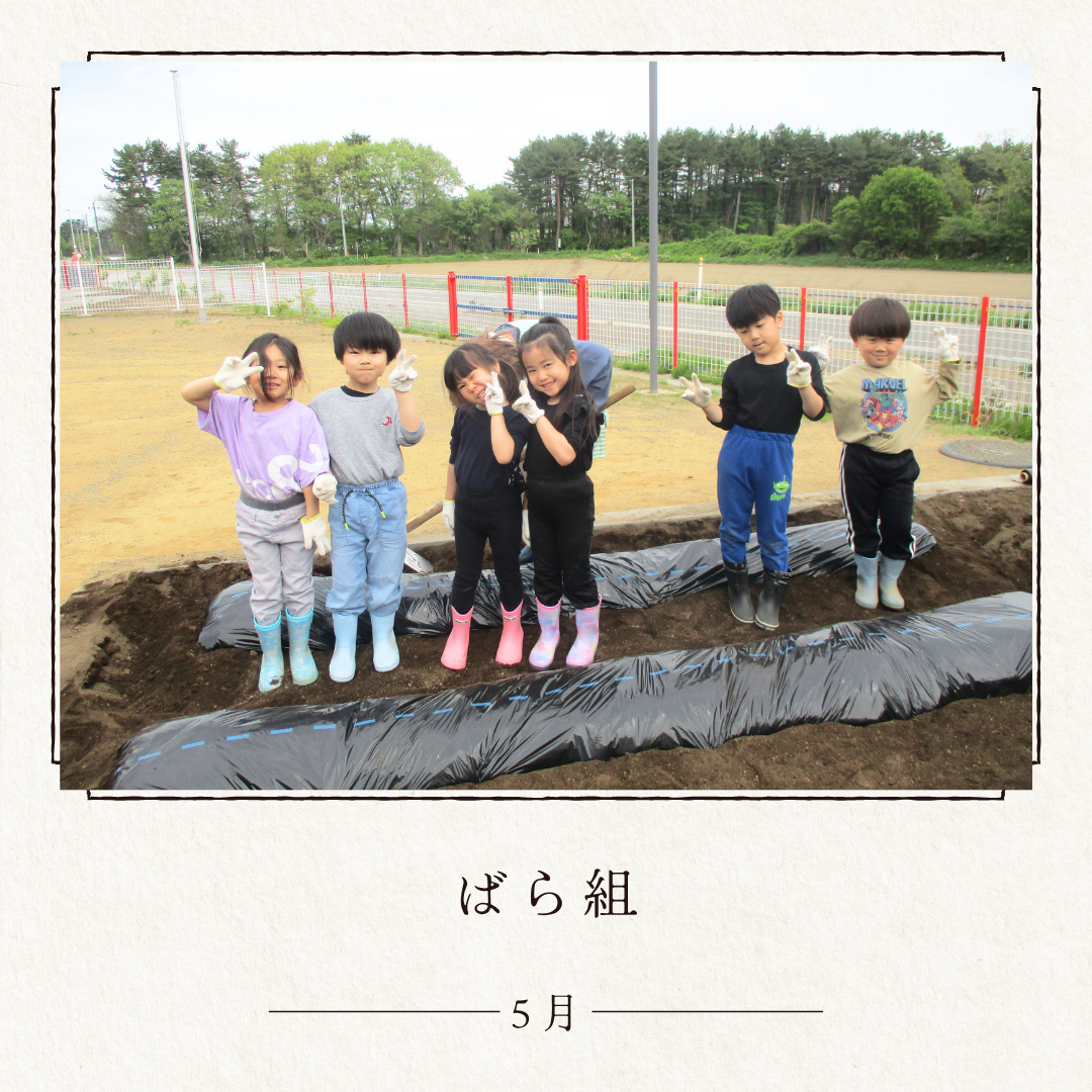 ばら組　５月