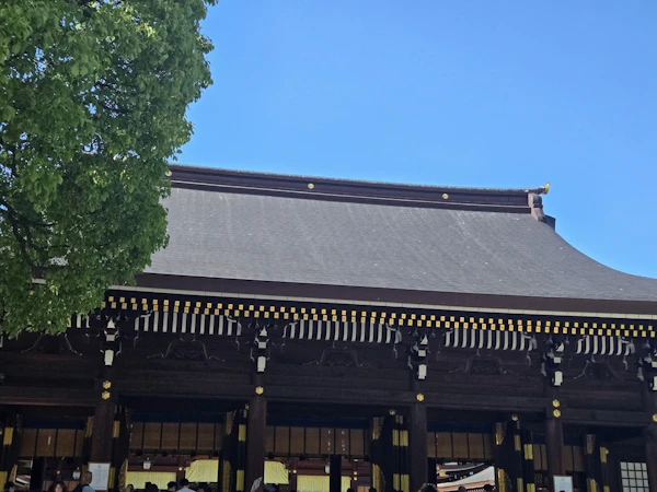 【明治神宮】嵐の最後の日に、初めての参拝へ。花菖蒲の限定御朱印も運よくいただく