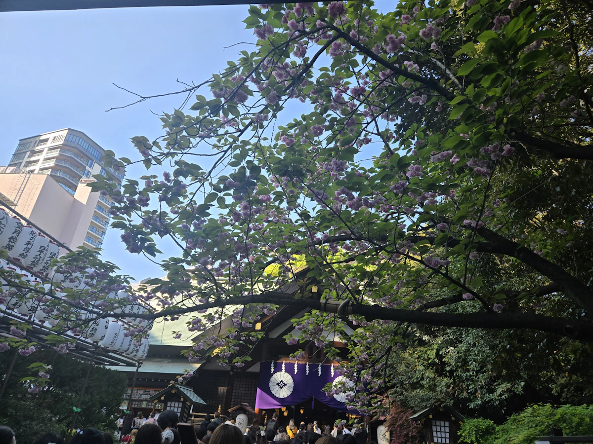 東京大神宮