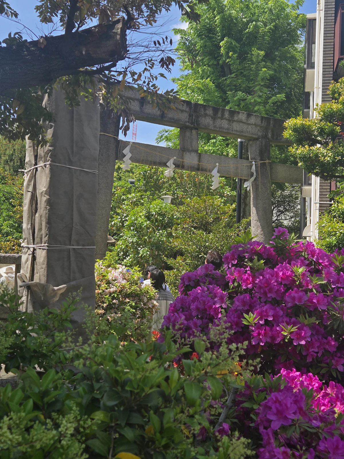 鳩森八幡神社 2026年4月26日の参拝