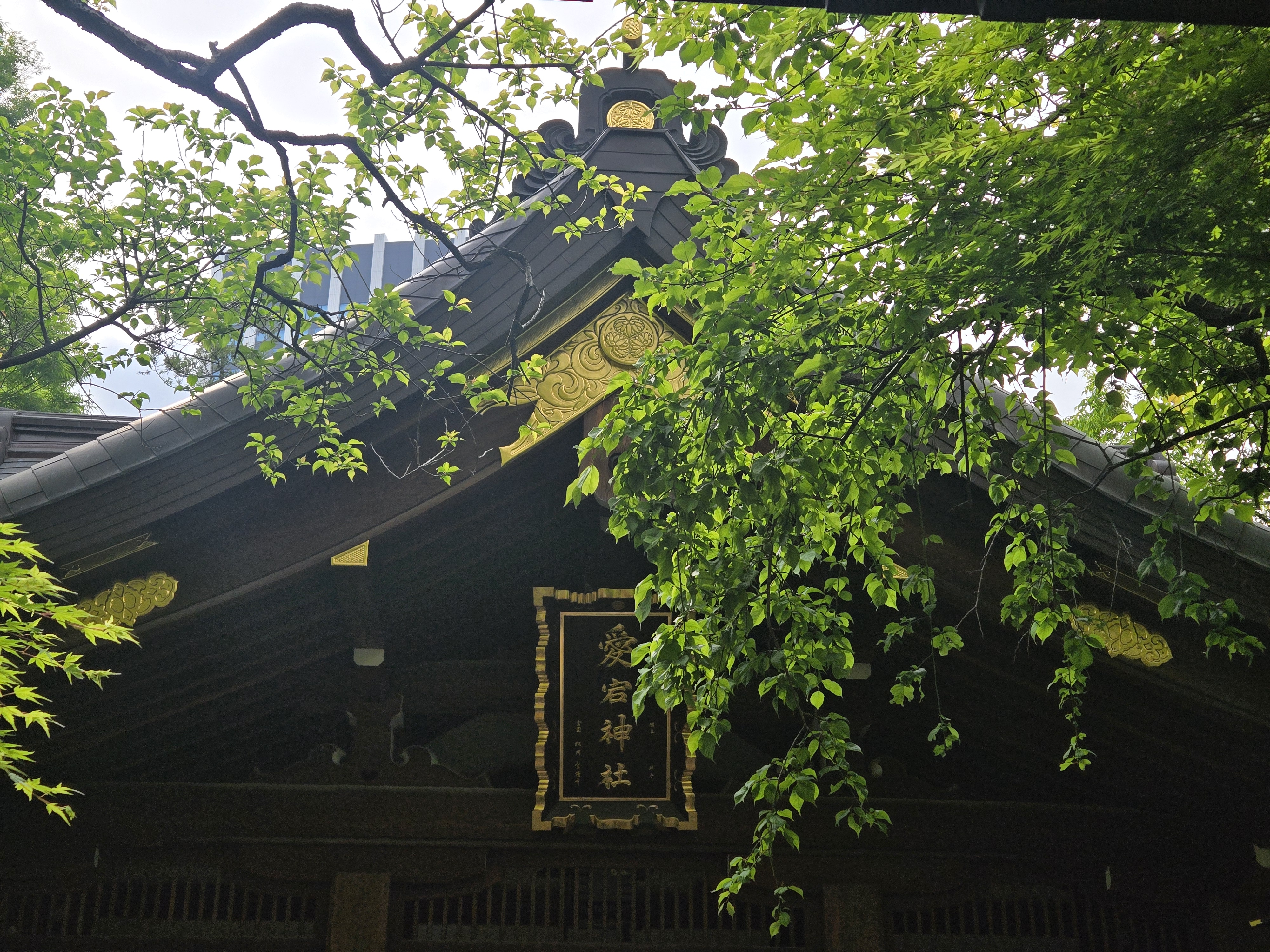 愛宕神社