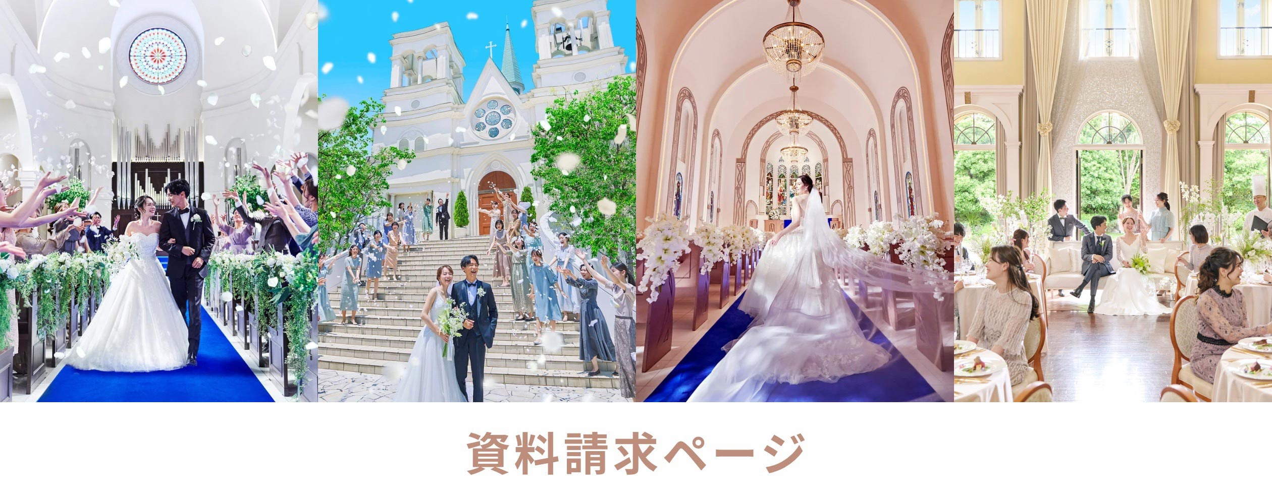 資料請求ページ