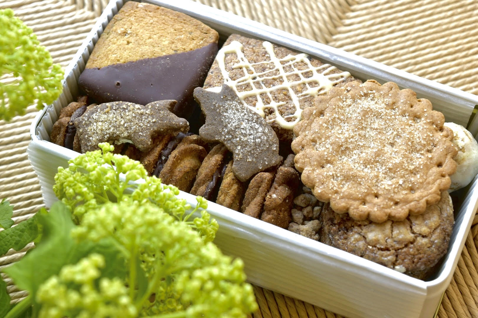 AMAZON CACAO アマゾンカカオ　ほぼ日カンカン2026 クッキー缶 AMAZON CACAOのチョコレートのお店 | 生活のたのしみ展2026 - ほぼ日