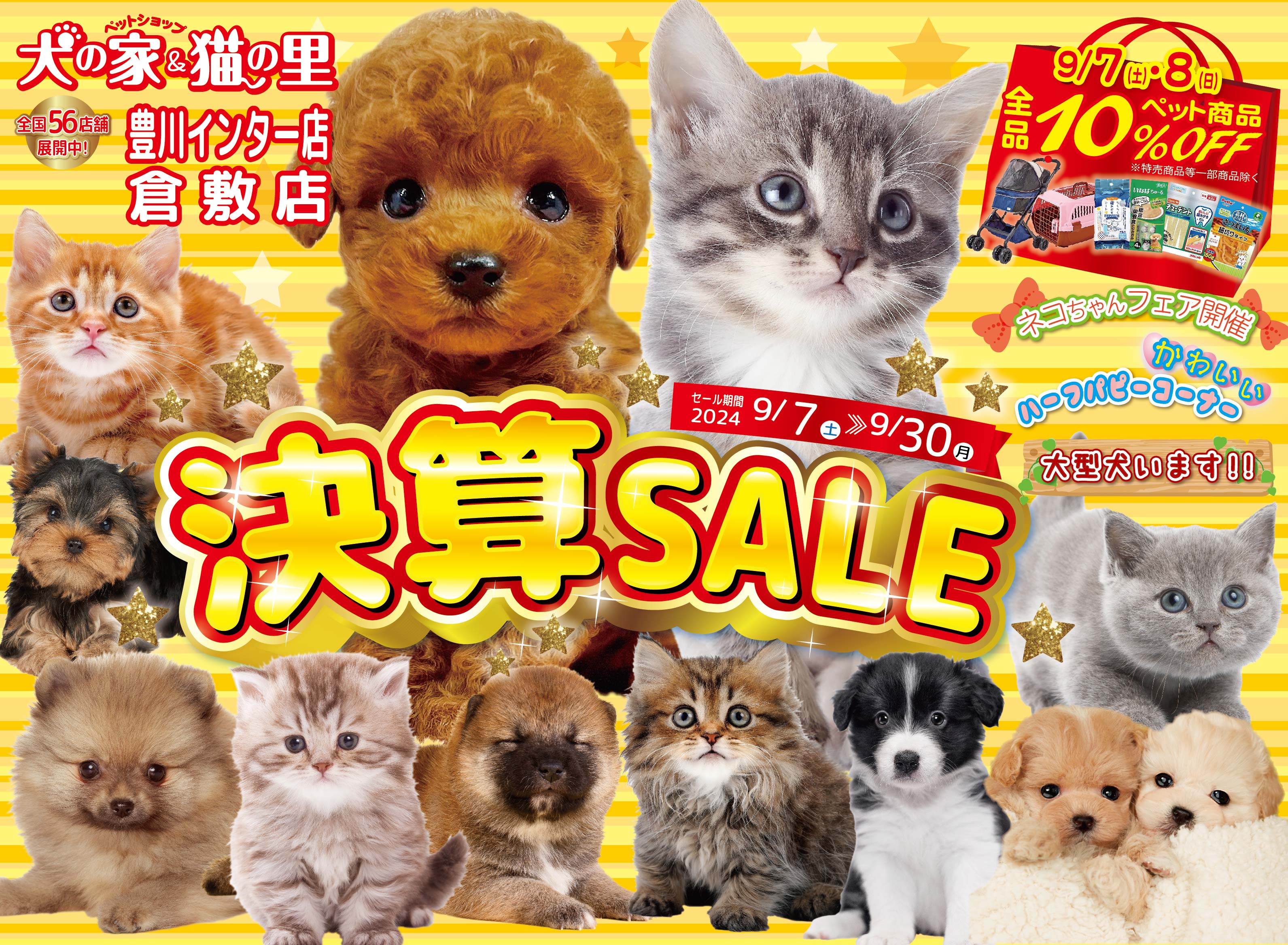 最新セール情報【決算セール・豊川インター店、倉敷店】 | ペット