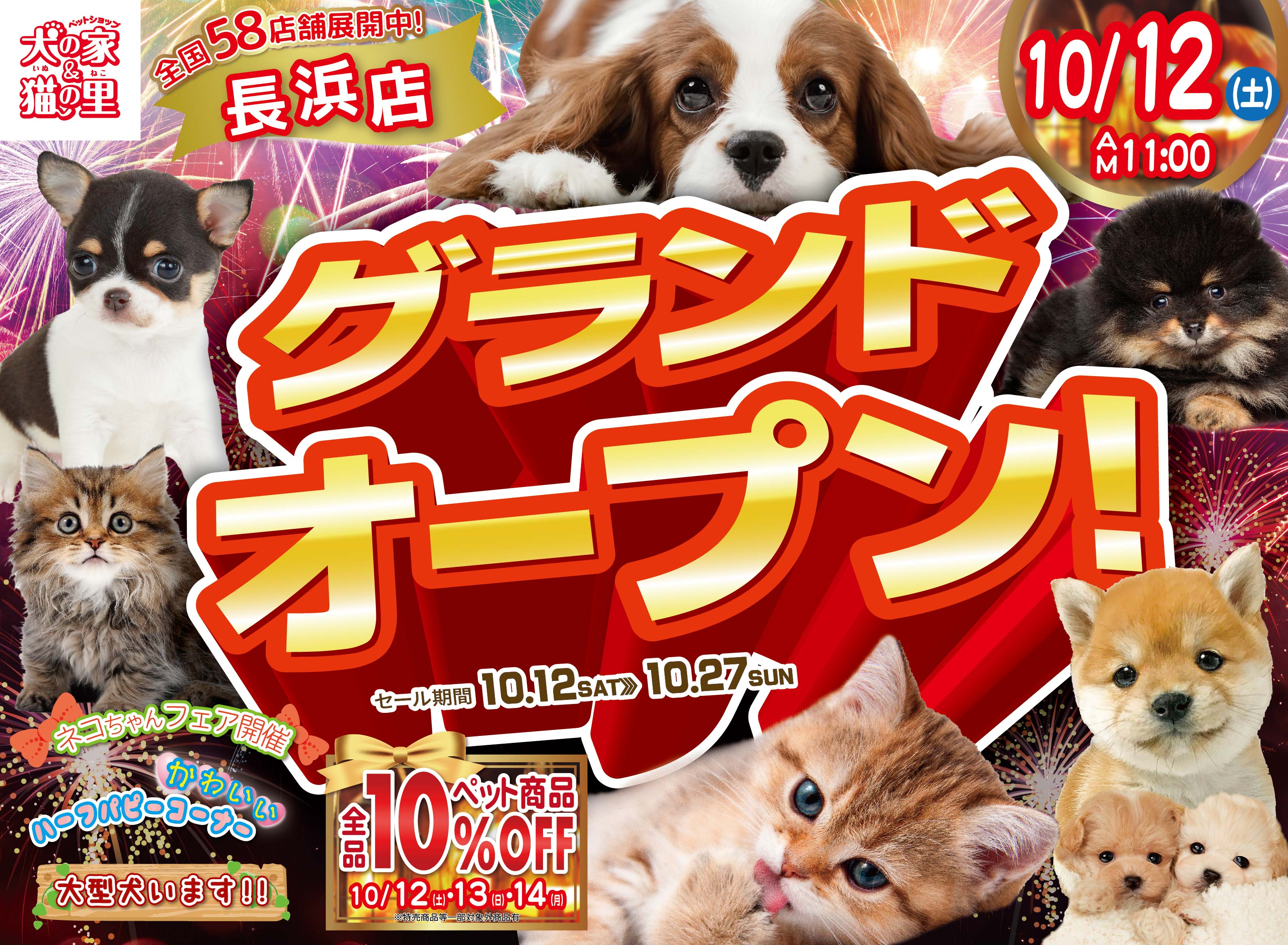 最新オープン情報【長浜店リニューアル・グランドオープン