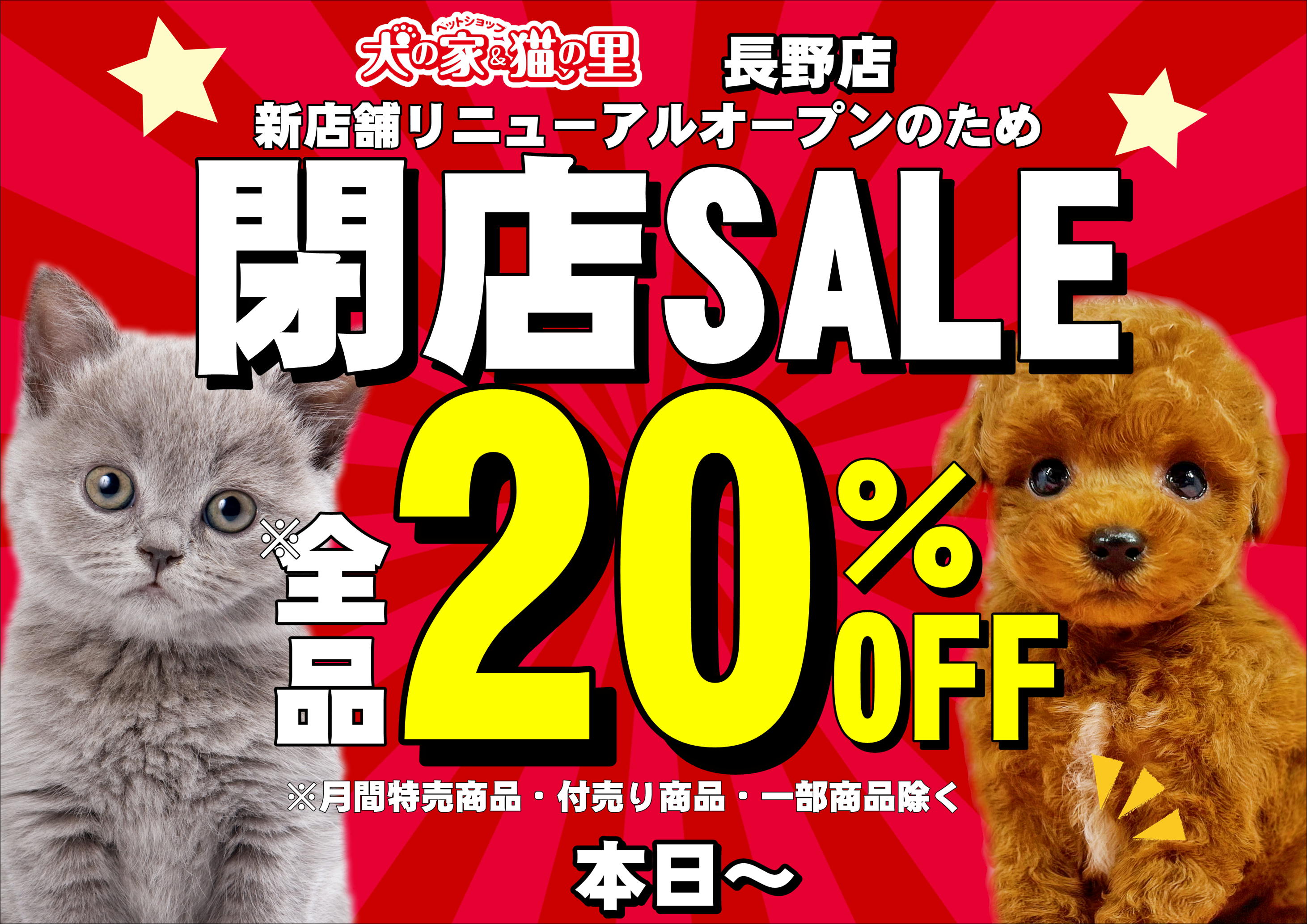 長野店から大切なお知らせ | ペットショップ 犬の家&猫の里 | 子犬だけでなく子猫の情報もたくさん