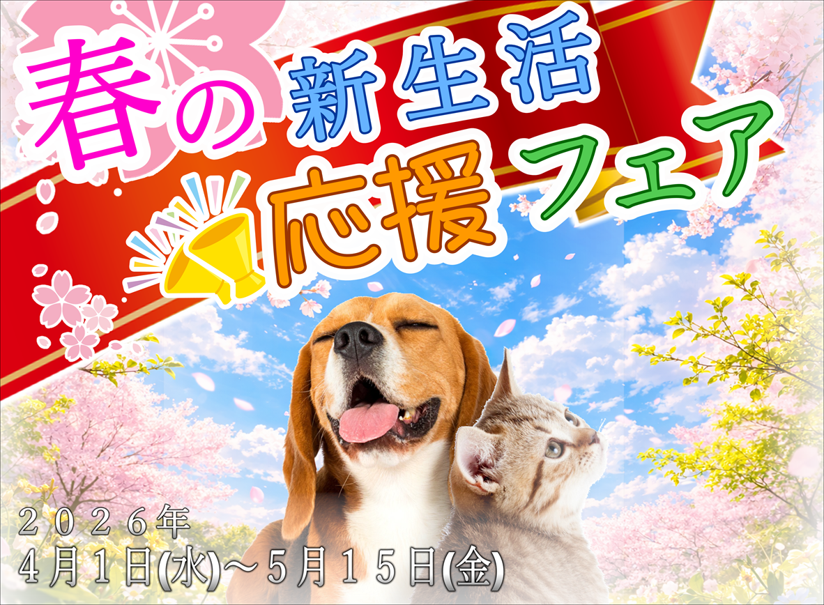 最新セール情報【春の新生活応援フェア】 | ペットショップ 犬の家&猫