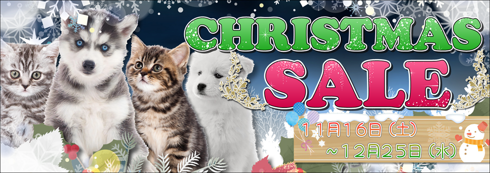 最新セール情報【CHRISTMAS SALE】 | ペットショップ 犬の家&猫の里