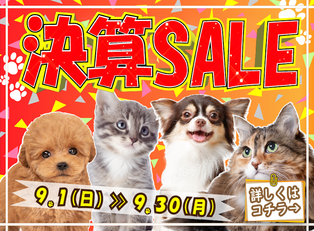 イベント情報！ 202409決算SALE🐶😸 | ペットショップ 犬の家&猫の里