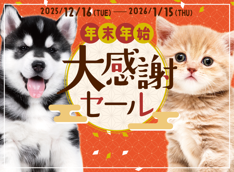 行って帰る君] ペットドア 子犬 猫用 新年キャンペーン中 【公式通販】