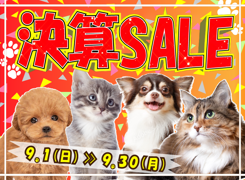 てぃんか　13日　ジュピター　ジュノ　犬　猫　ペット　小型犬 ワンピース Amazon | [JUI3N] ペット 犬用 スカート猫の服 春夏 ペットの服
