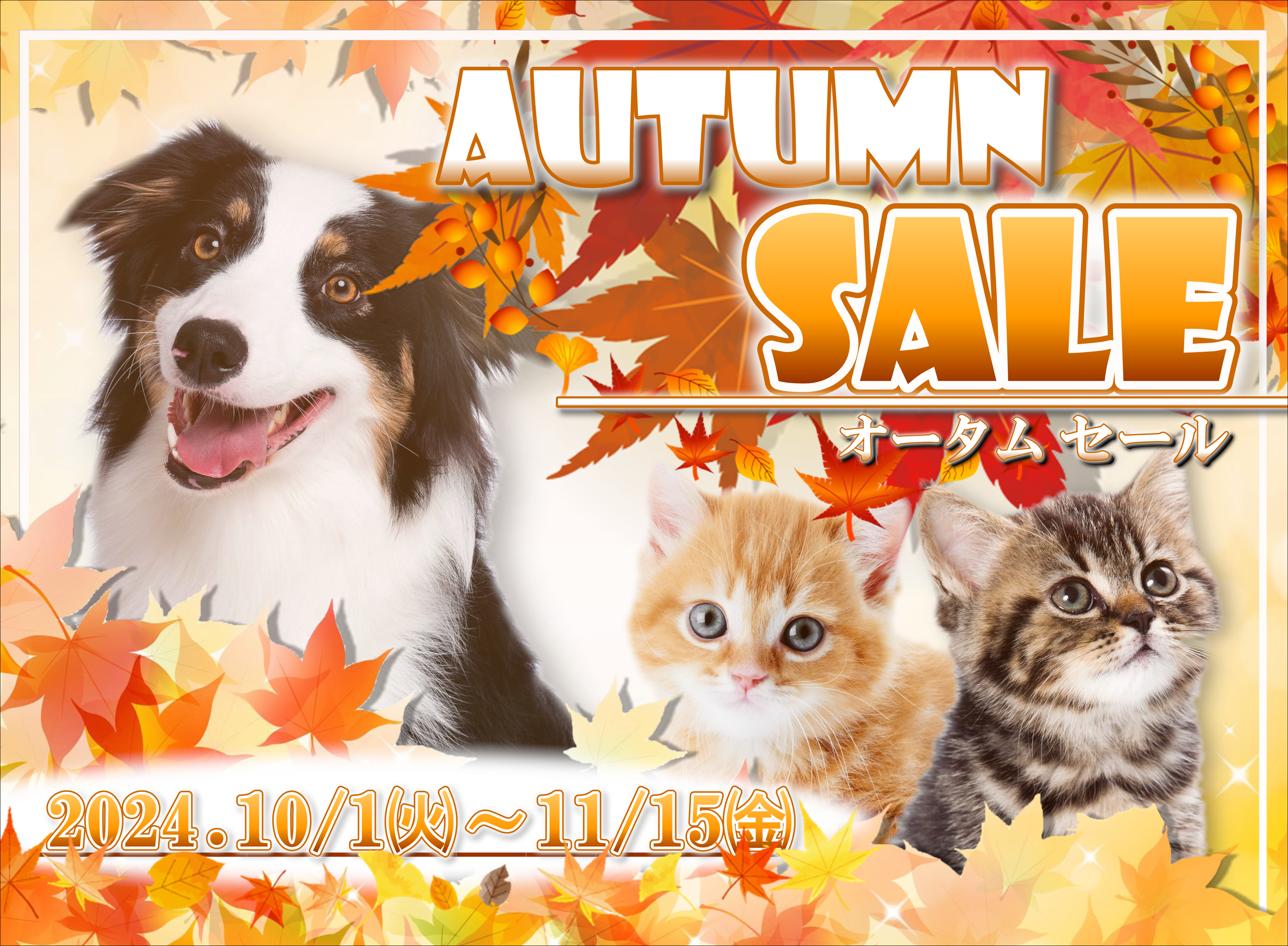 最新セール情報【AUTUMN SALE】 | ペットショップ 犬の家&猫の里