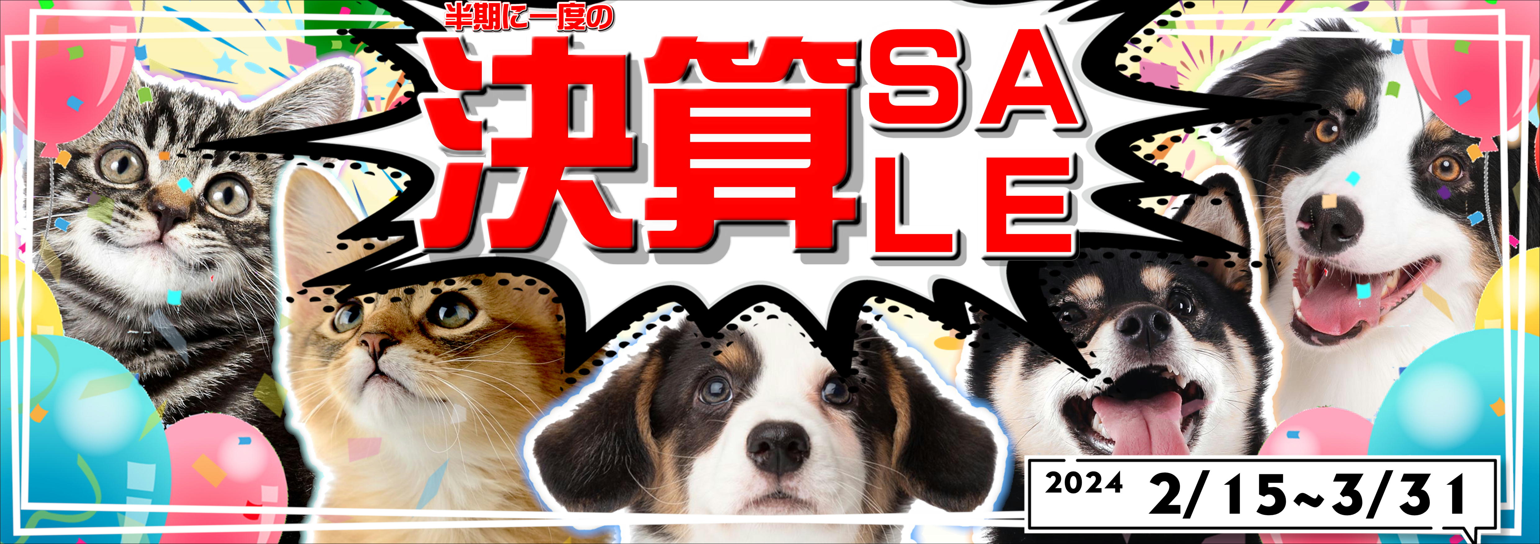 最新セール情報【半期決算SALE】 | ペットショップ 犬の家&猫の里