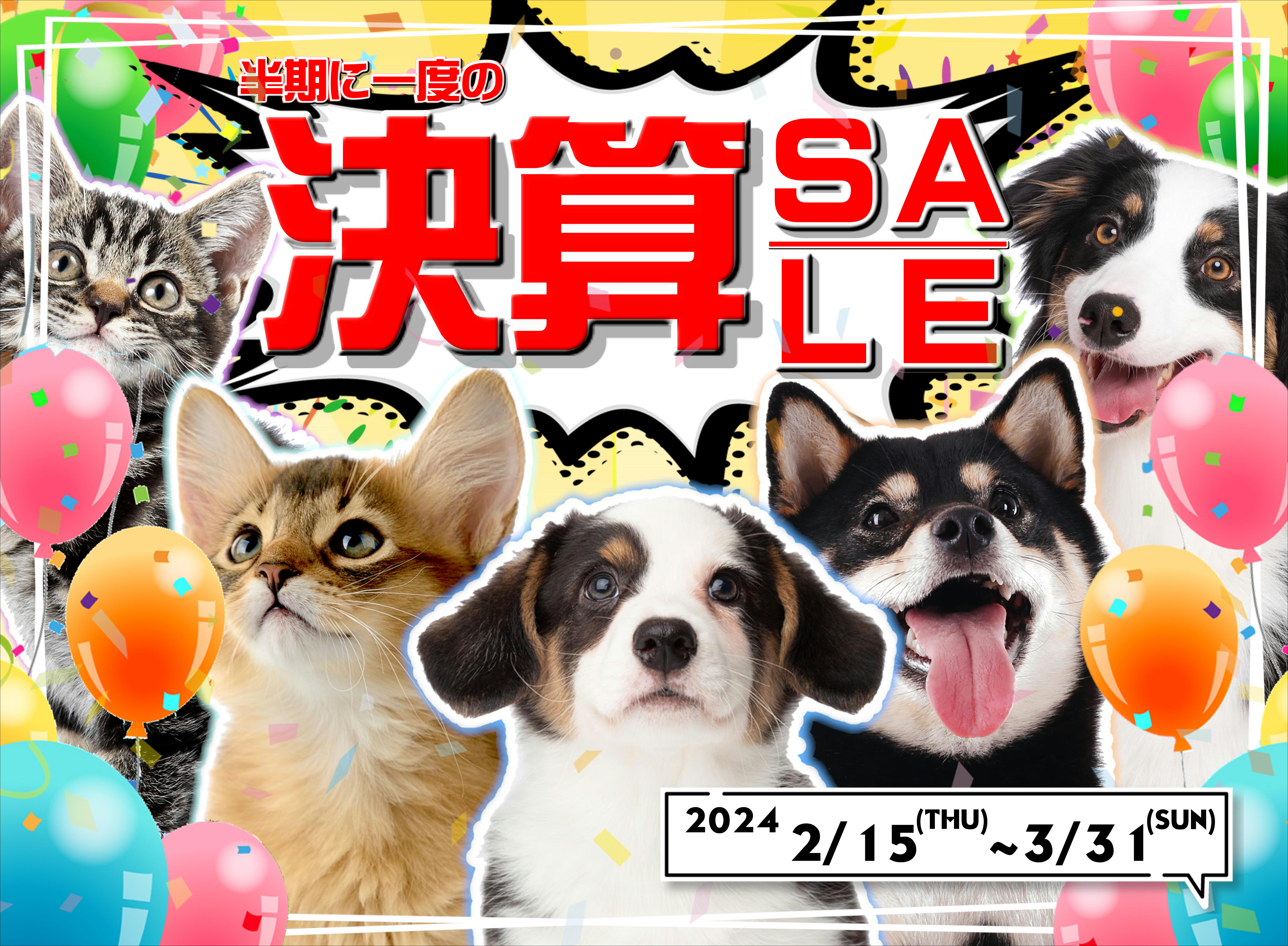 最新セール情報【半期決算SALE】 | ペットショップ 犬の家&猫の里