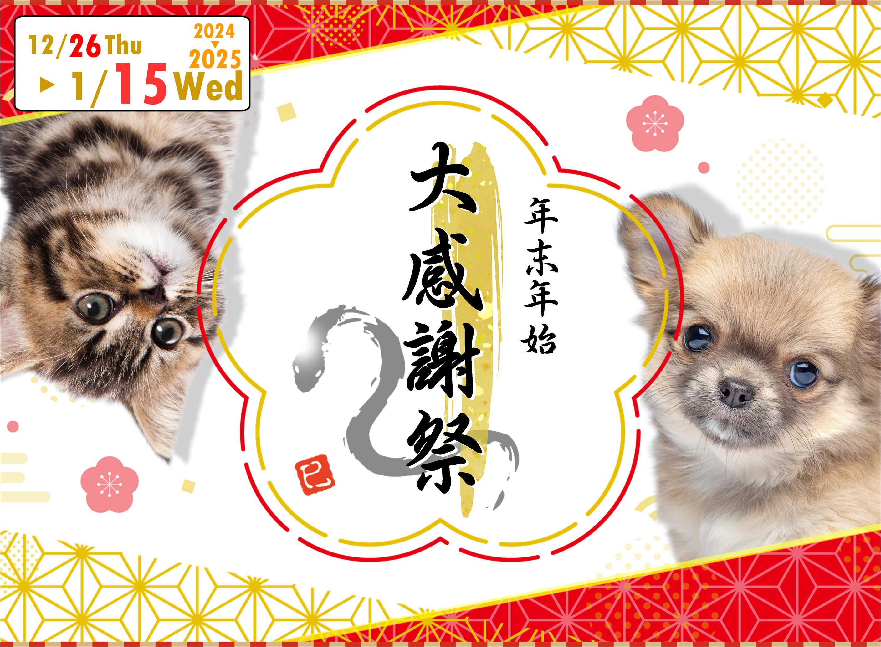 期間限定セール！雛祭り　駒犬タペストリー 3月20日(祝) 第4回わんわん大感謝祭 ドッグリゾートWoof 今年も