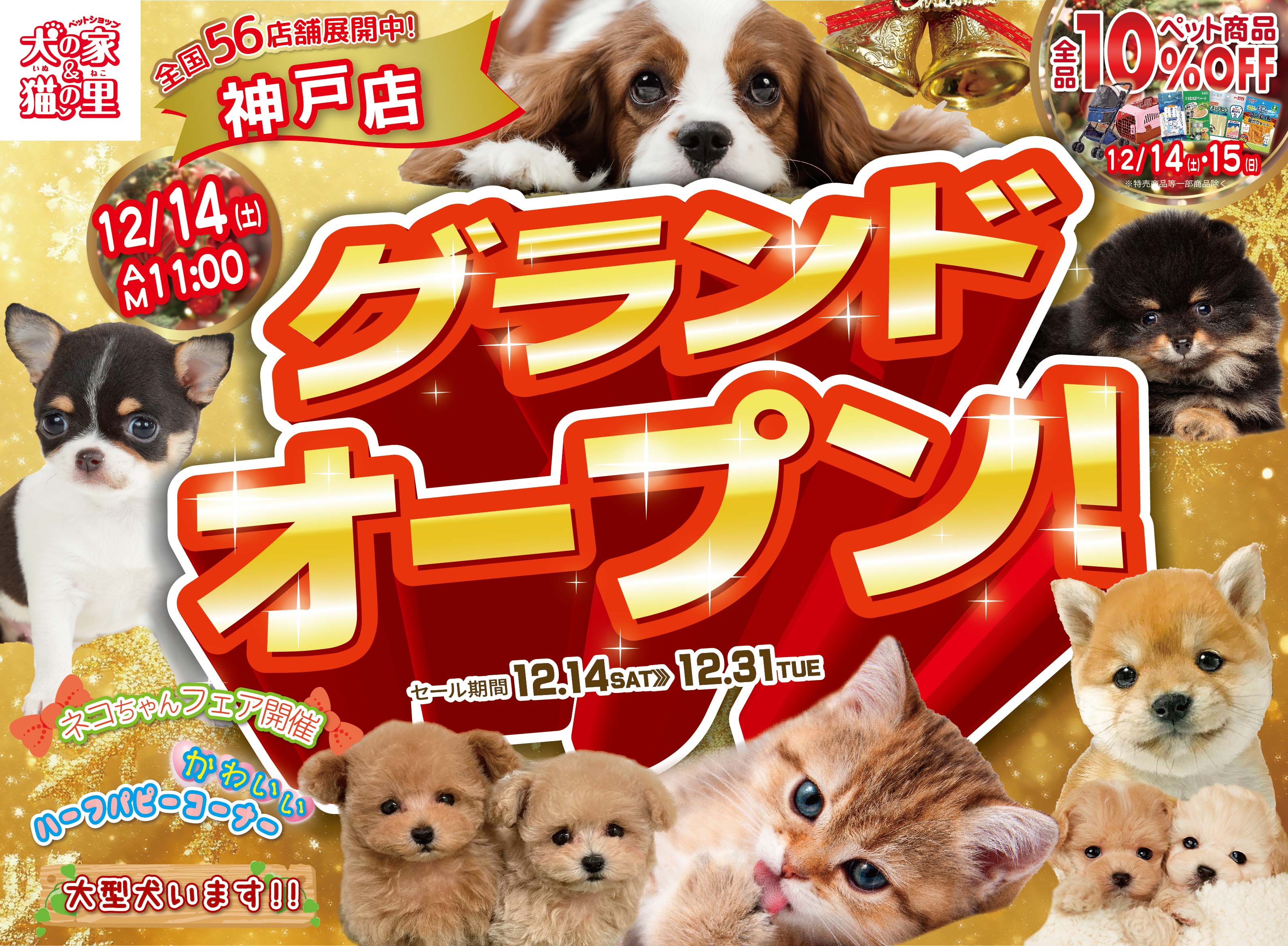 最新オープン情報【神戸店リニューアル・グランドオープン