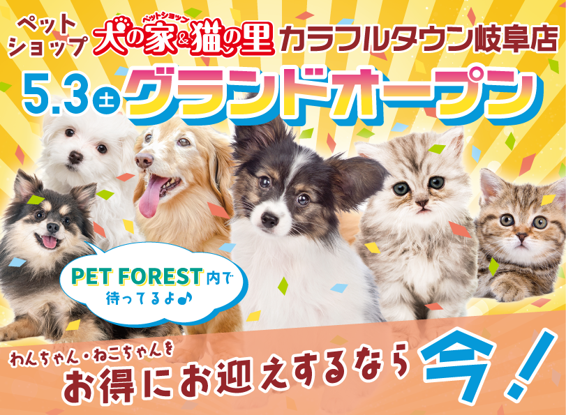 最新オープン情報【カラフルタウン岐阜店】 | ペットショップ 犬の家