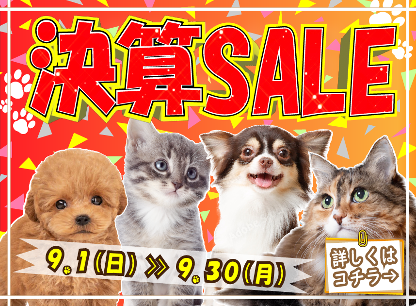 🥺来月からの・・・🥺犬の家猫の里有松店 | ペットショップ 犬の家&猫