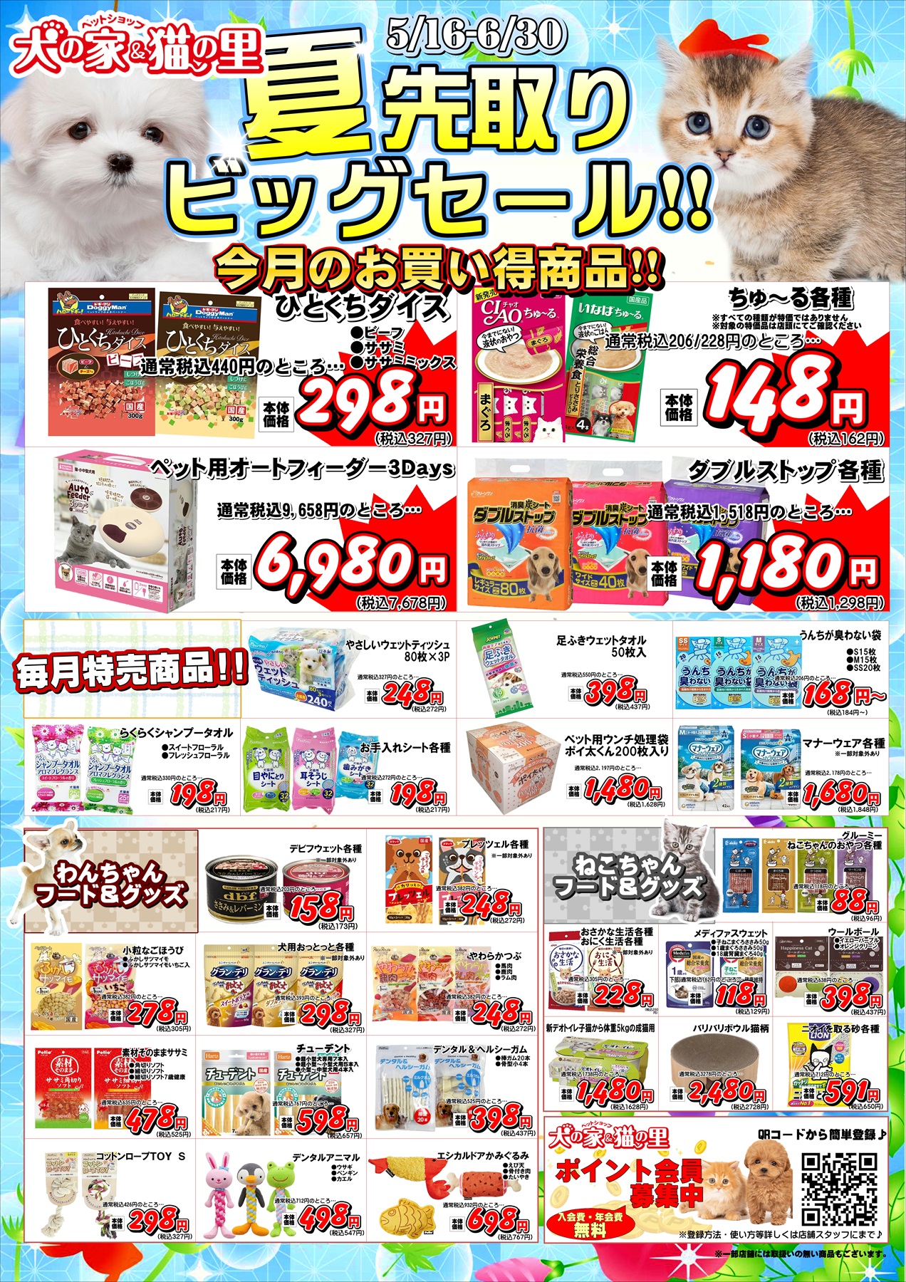 最新セール情報【夏先取りビッグセール】 | ペットショップ 犬の家&猫の里 | 子犬だけでなく子猫の情報もたくさん